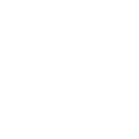 HSL Logo